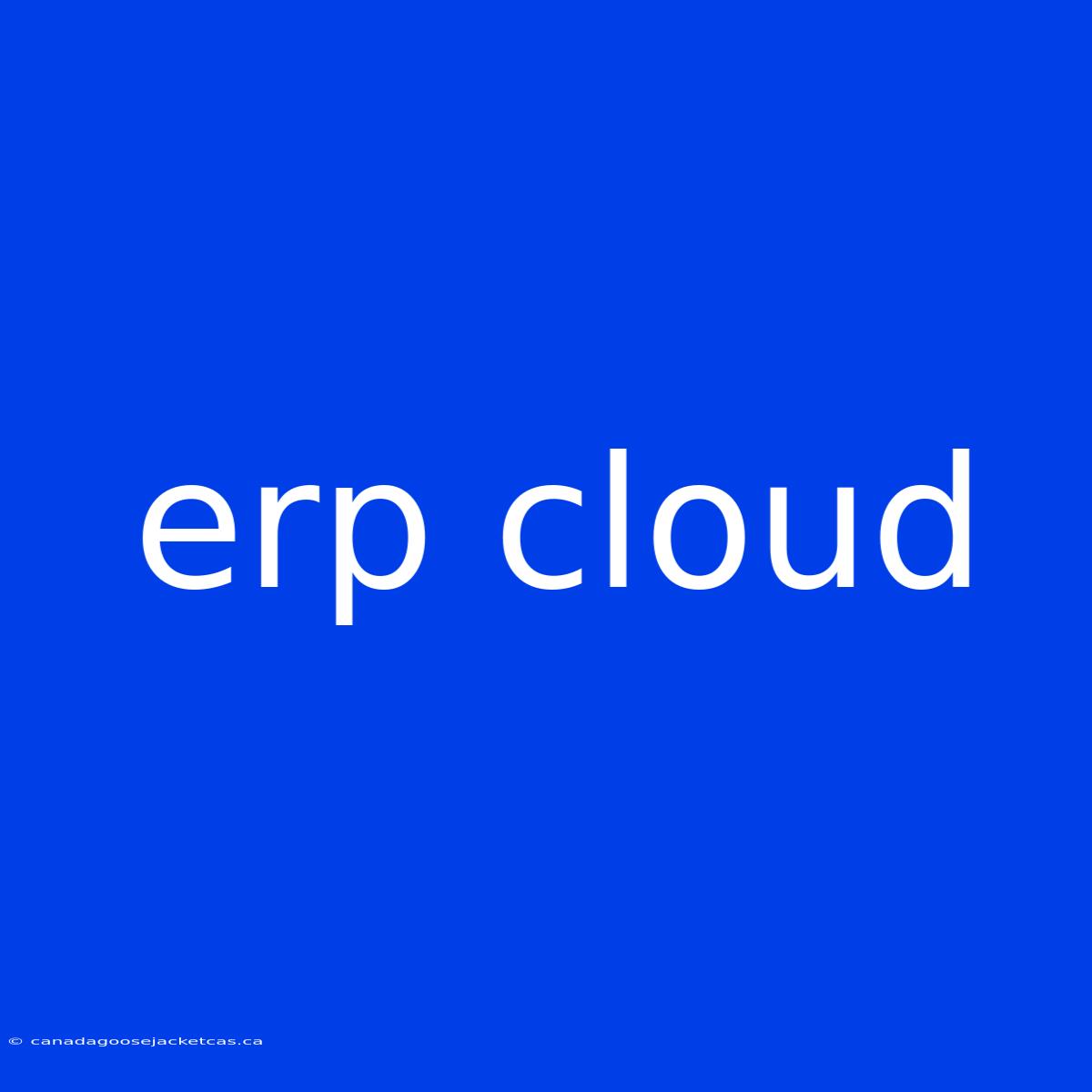 Erp Cloud