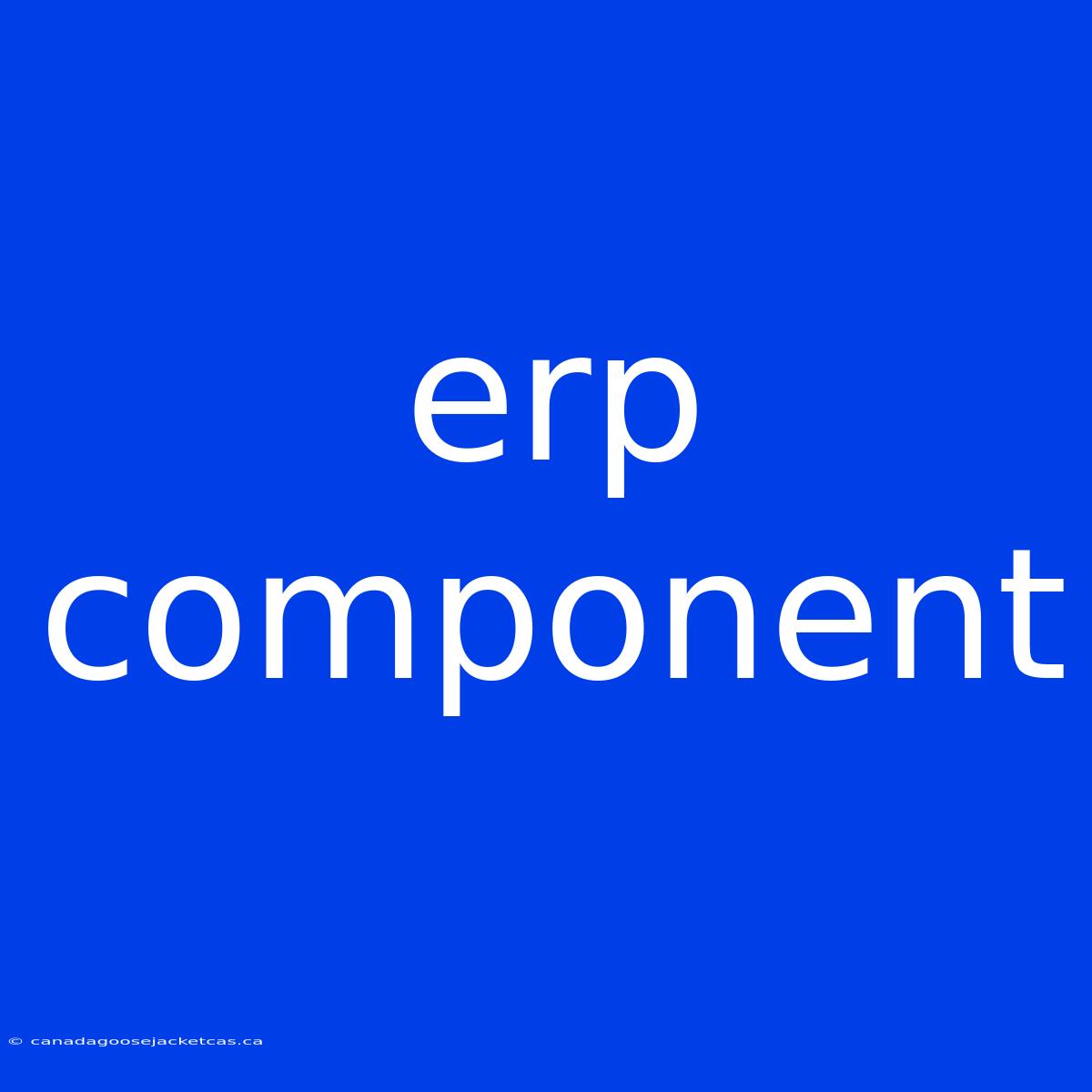 Erp Component