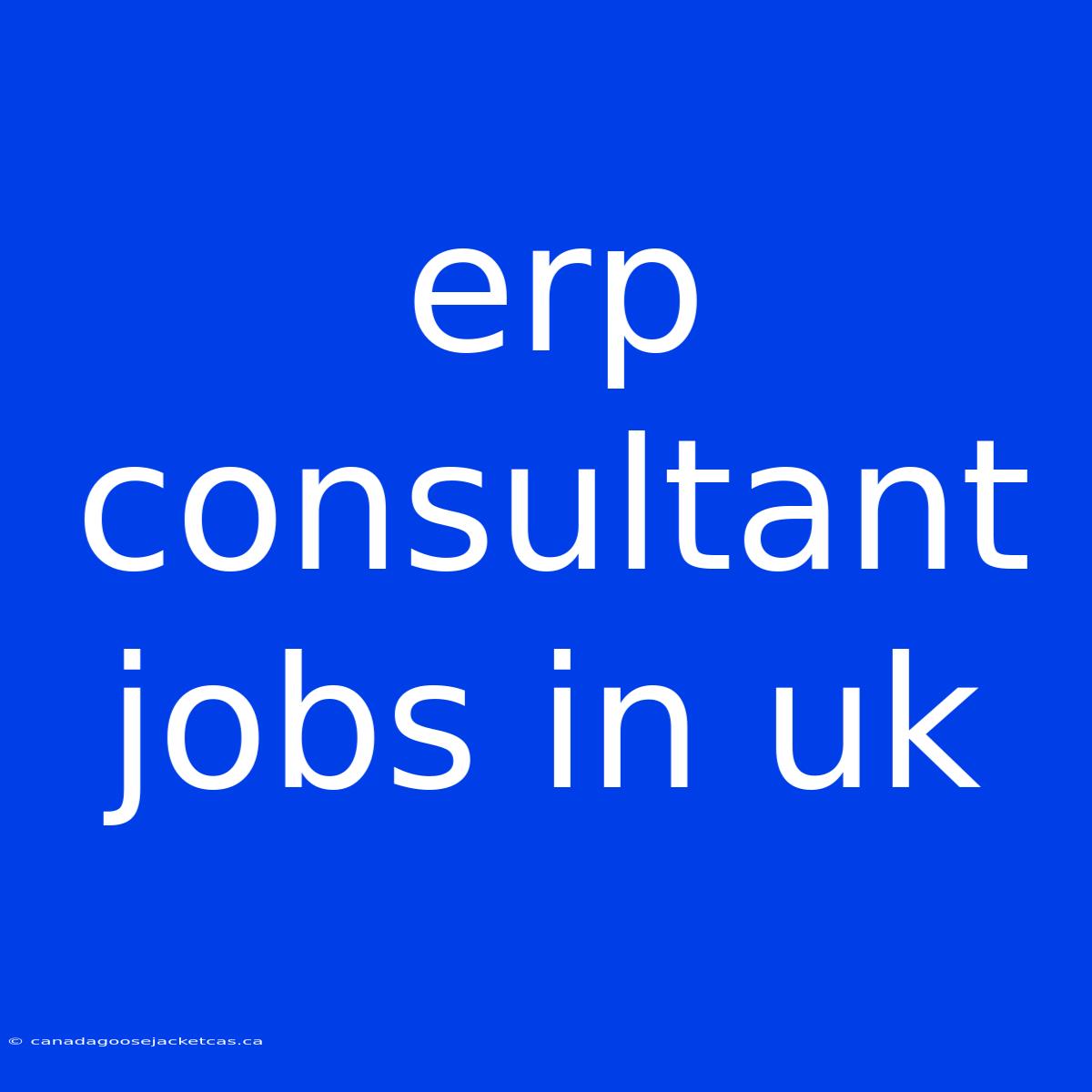 Erp Consultant Jobs In Uk