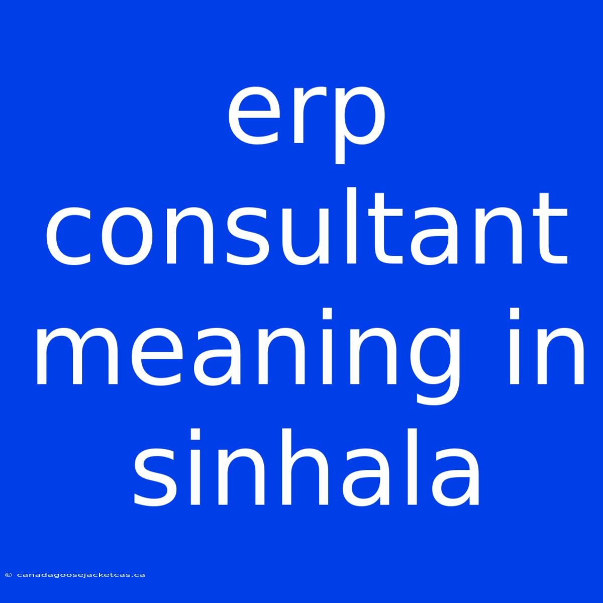 Erp Consultant Meaning In Sinhala