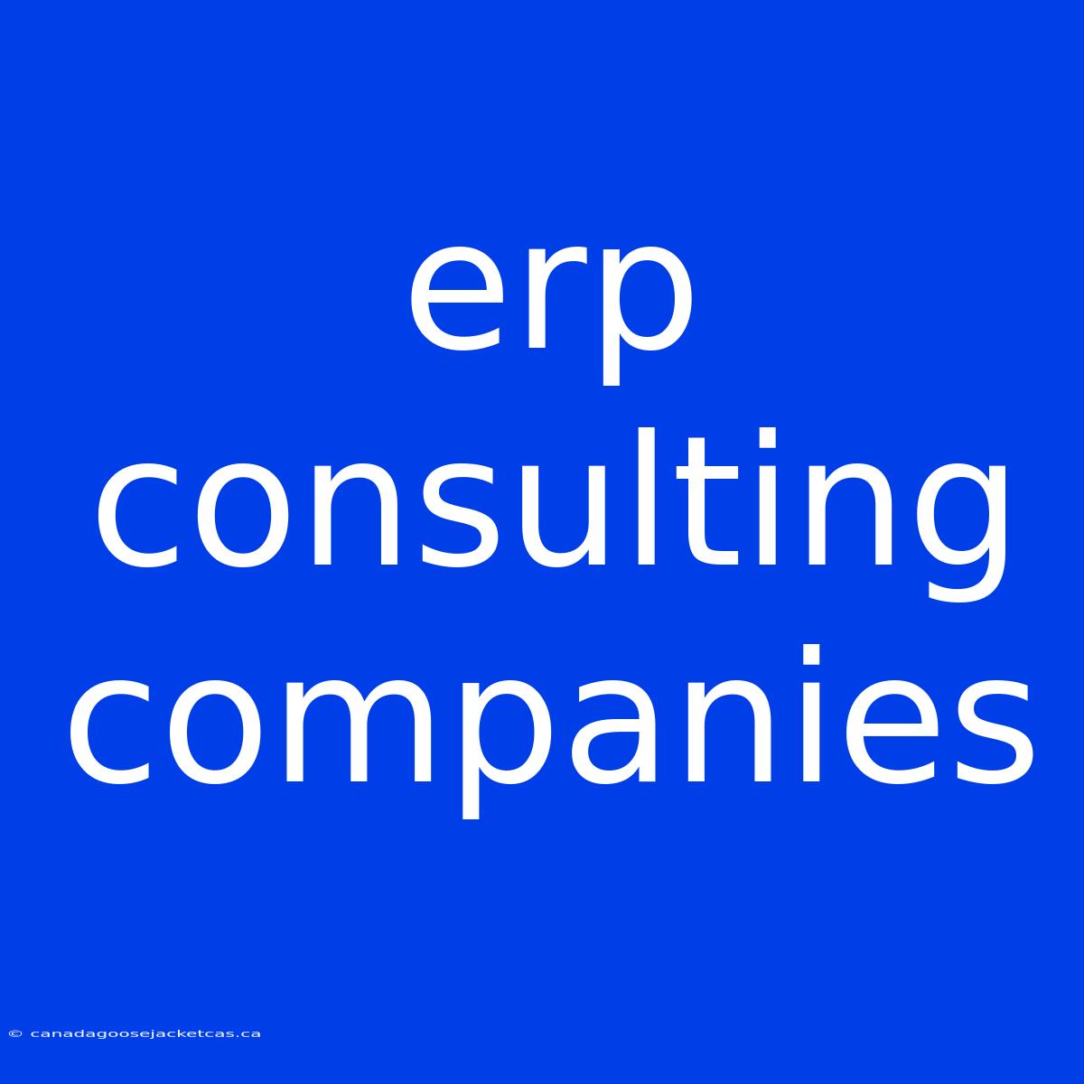 Erp Consulting Companies