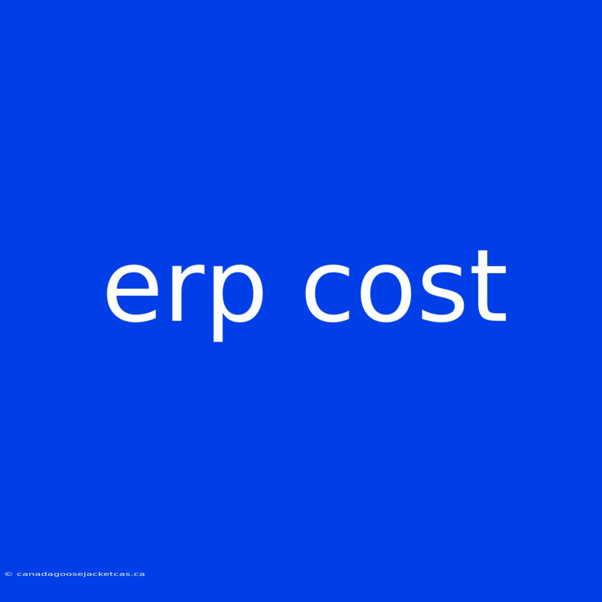 Erp Cost