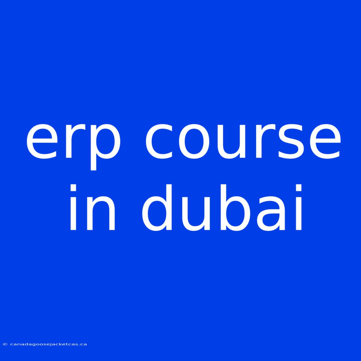 Erp Course In Dubai