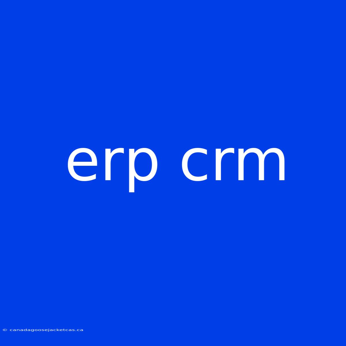 Erp Crm