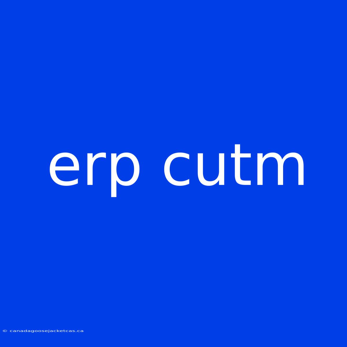 Erp Cutm