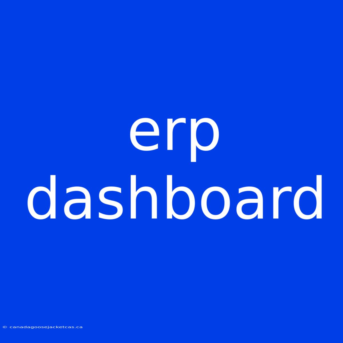 Erp Dashboard