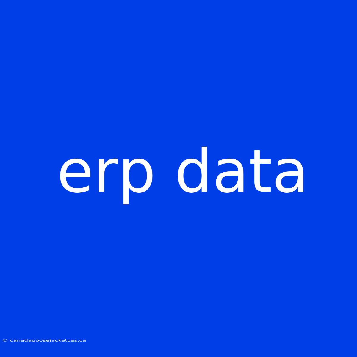 Erp Data