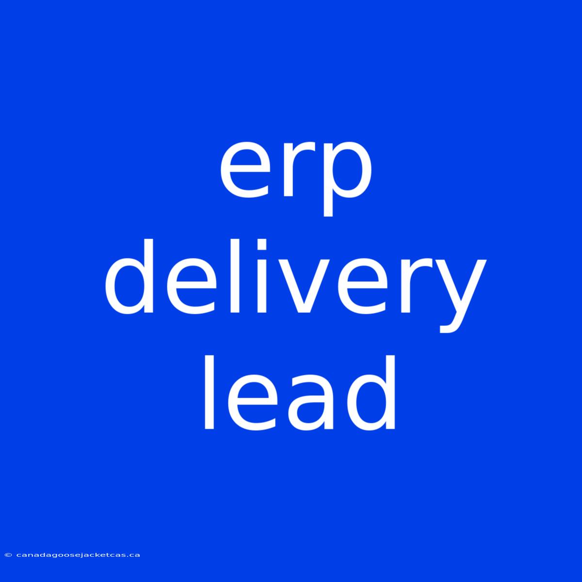 Erp Delivery Lead