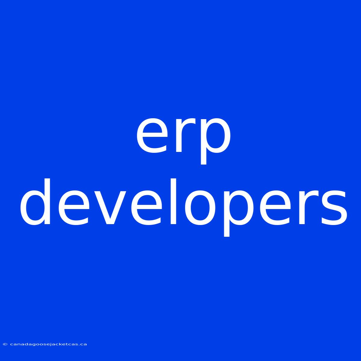 Erp Developers