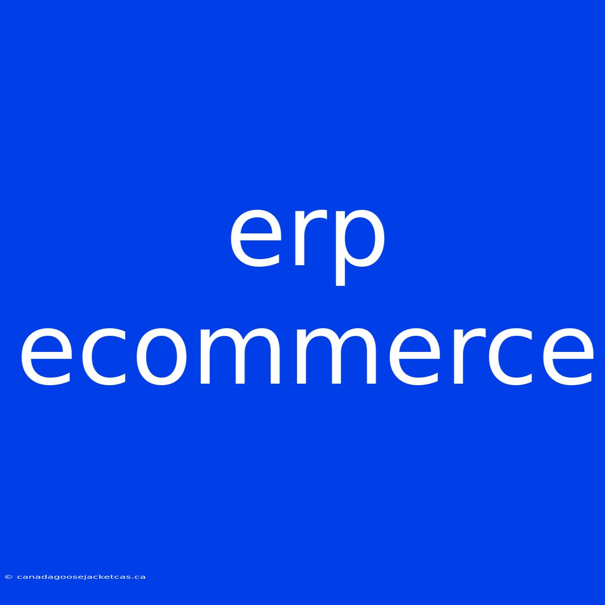 Erp Ecommerce