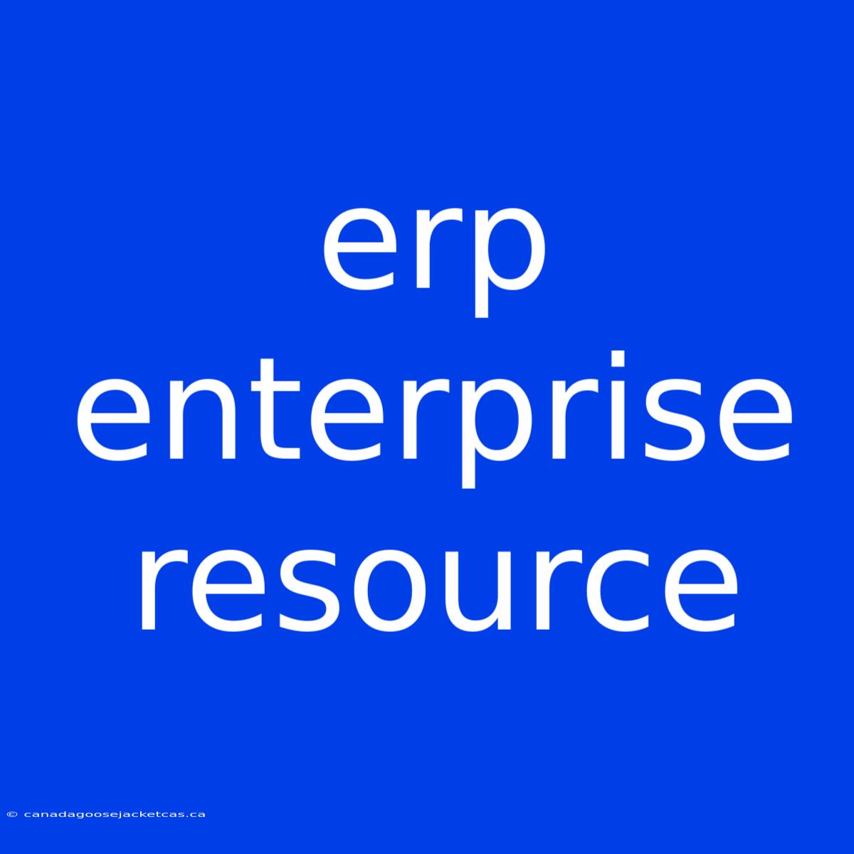 Erp Enterprise Resource