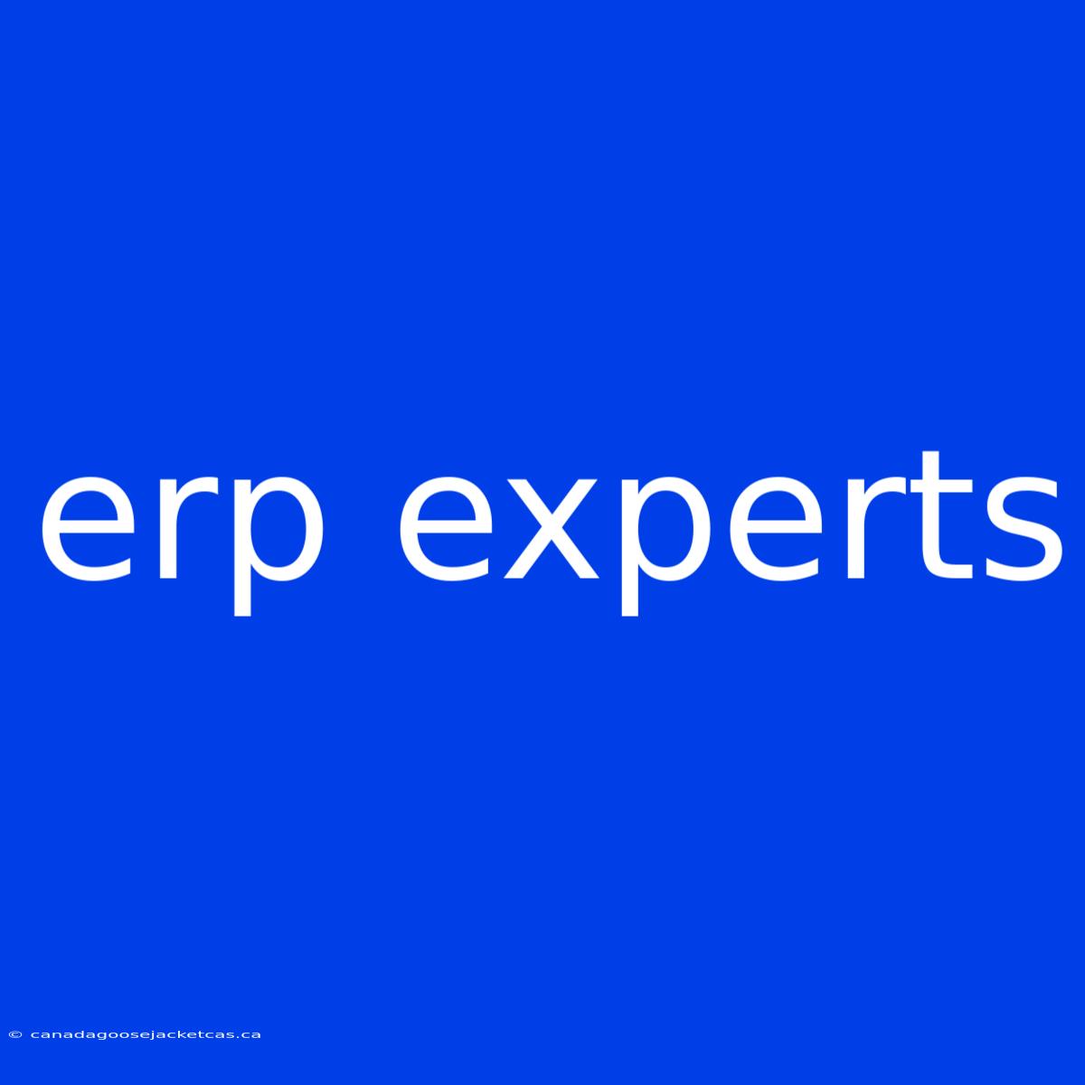 Erp Experts