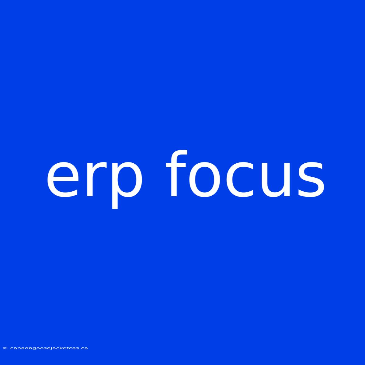 Erp Focus