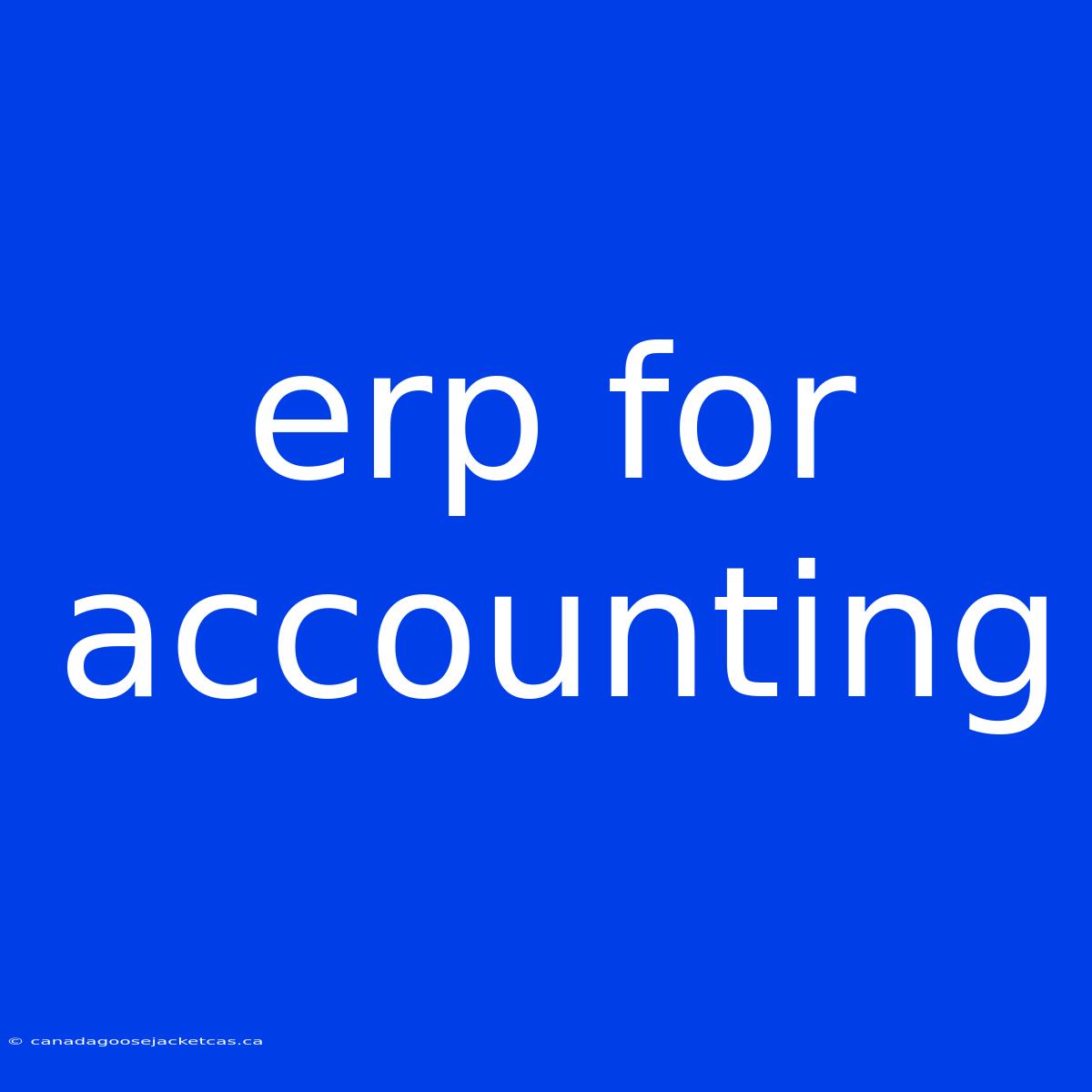 Erp For Accounting