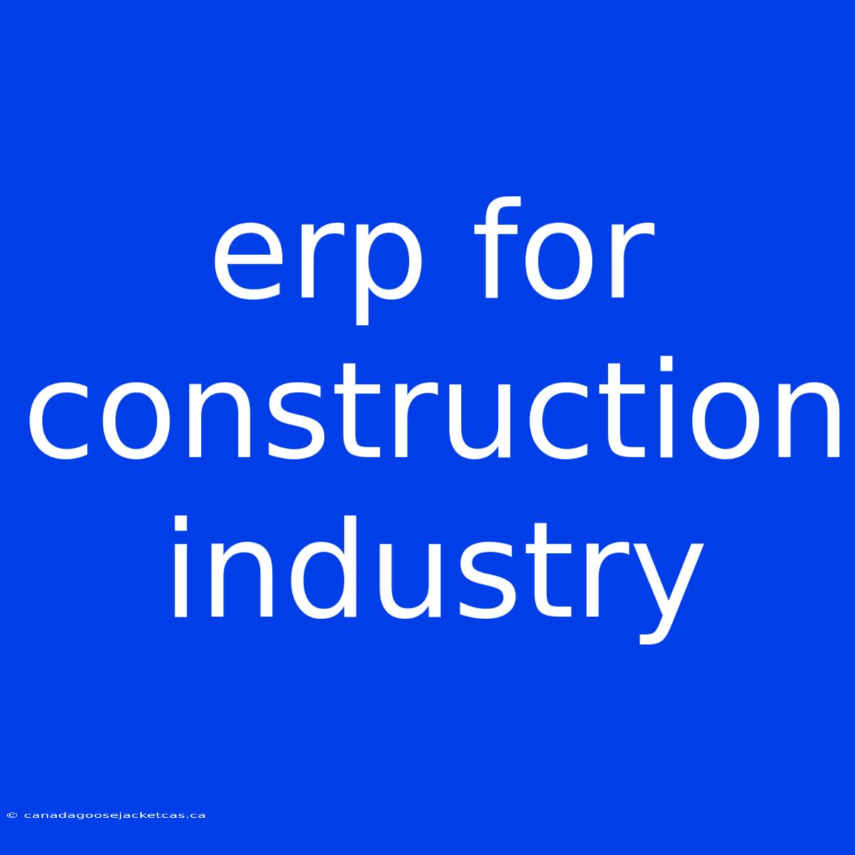 Erp For Construction Industry