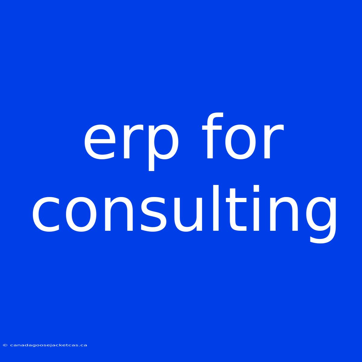 Erp For Consulting