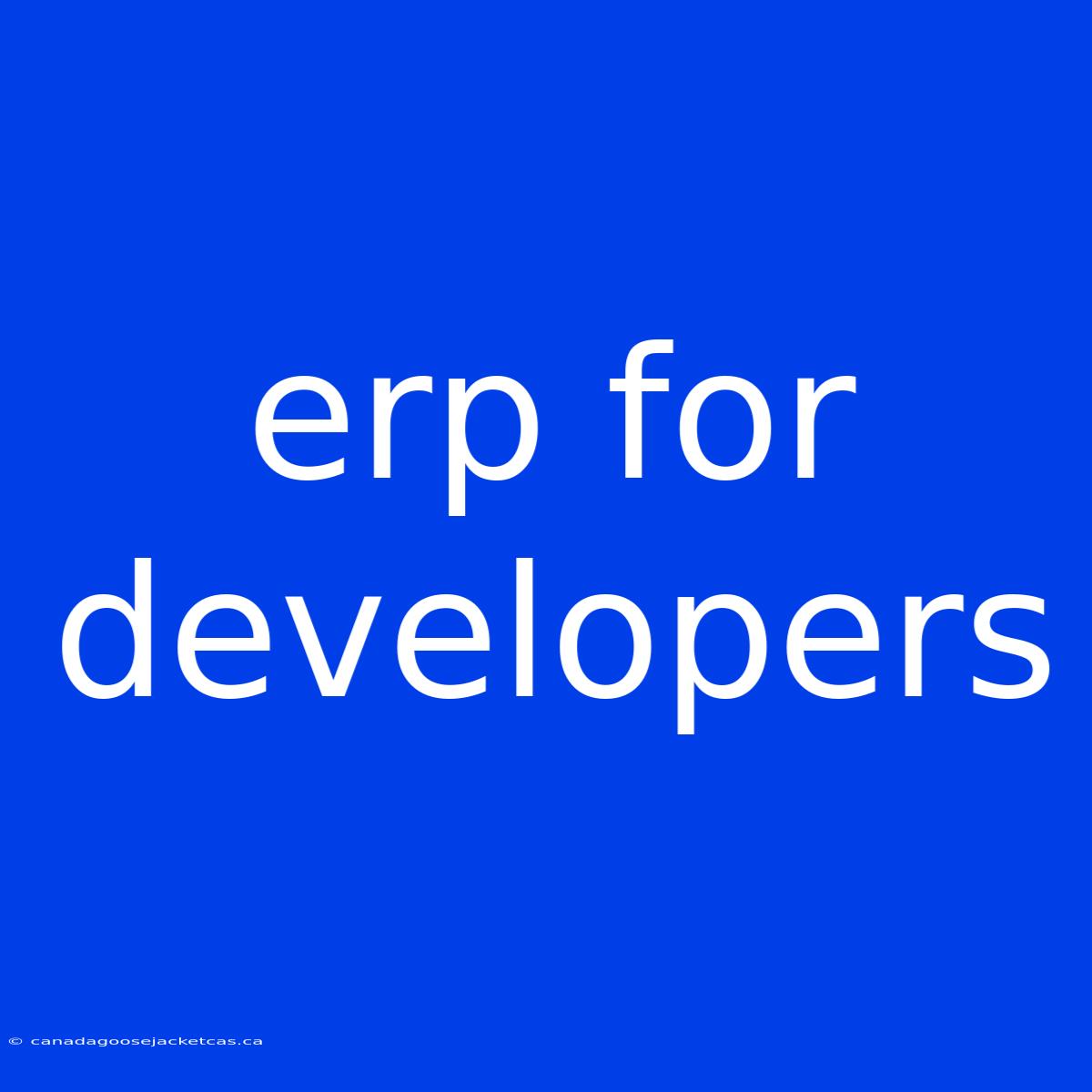 Erp For Developers