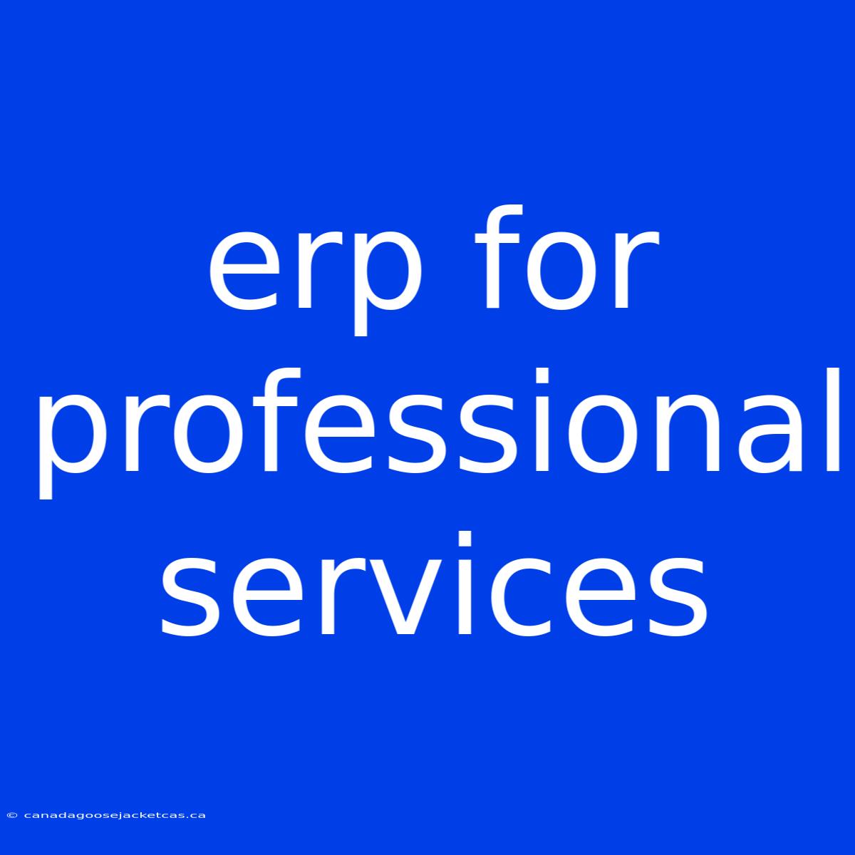 Erp For Professional Services