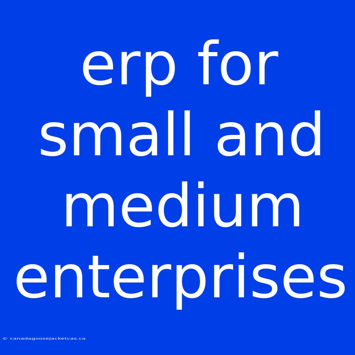 Erp For Small And Medium Enterprises