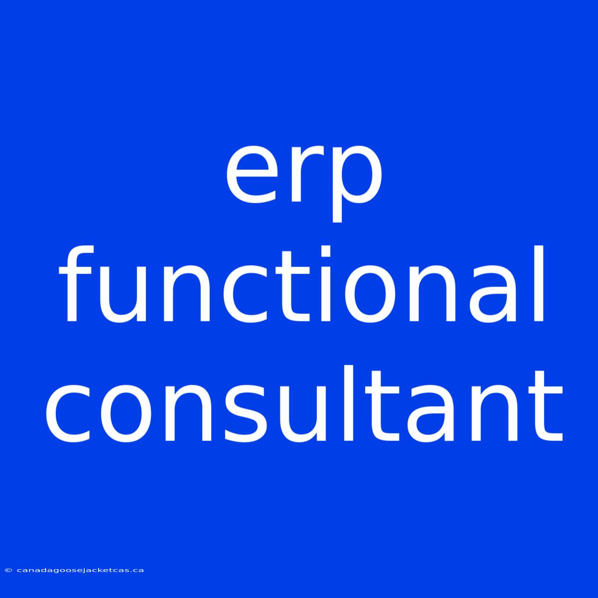 Erp Functional Consultant