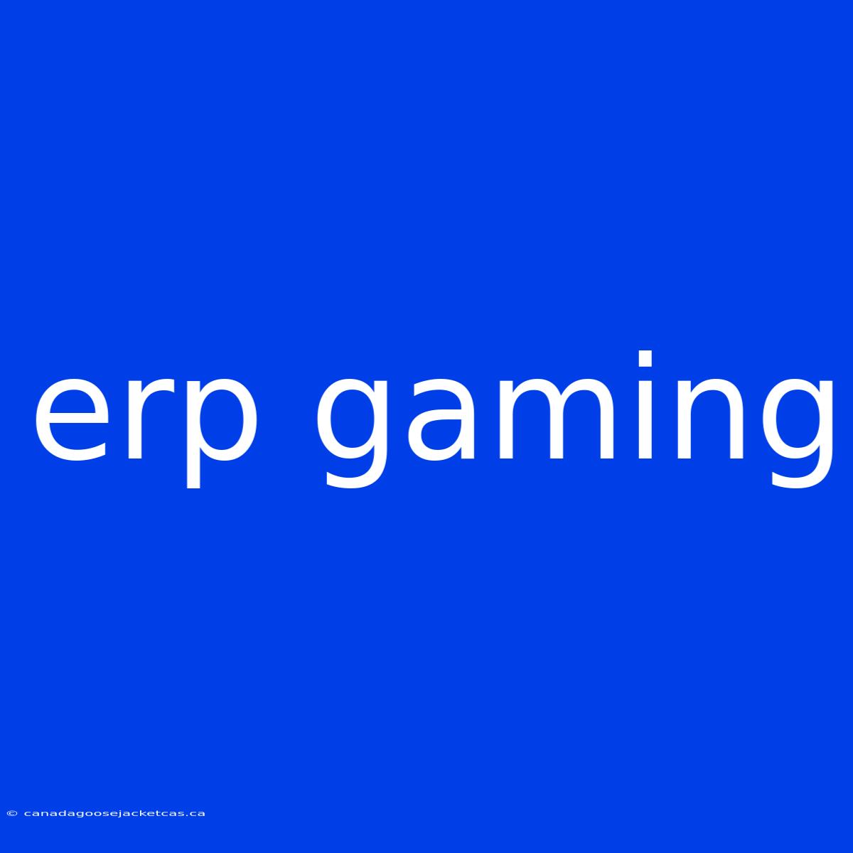 Erp Gaming