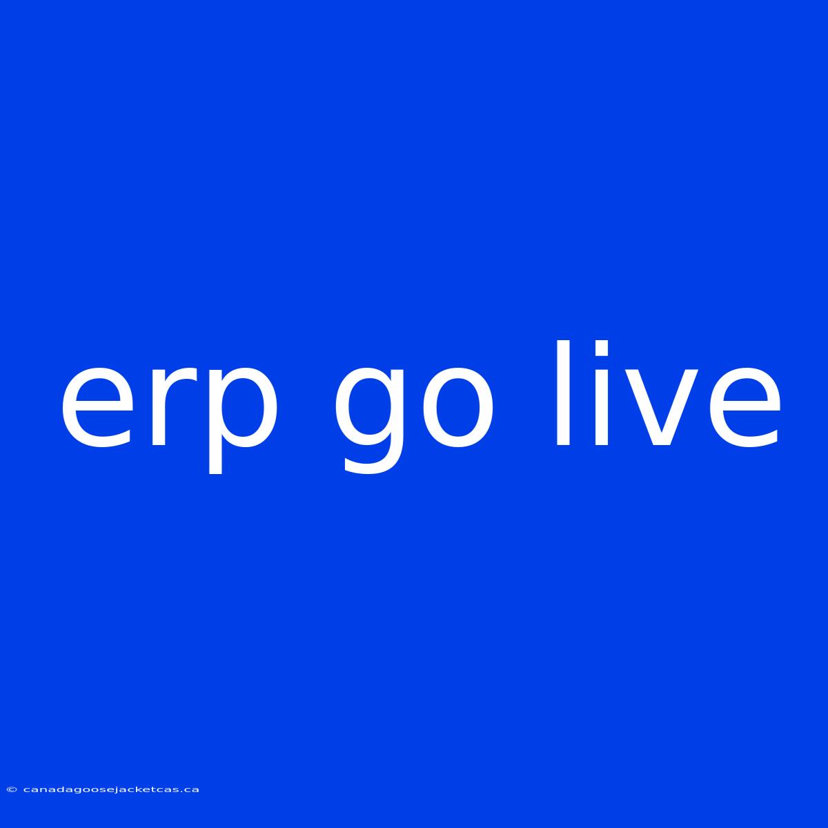 Erp Go Live