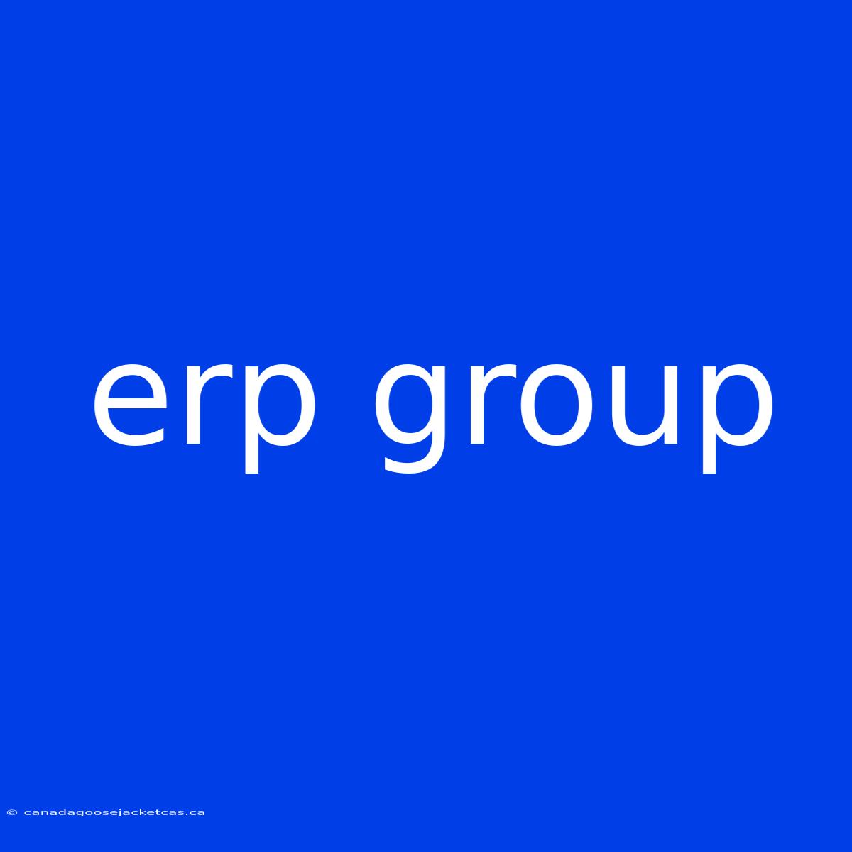 Erp Group