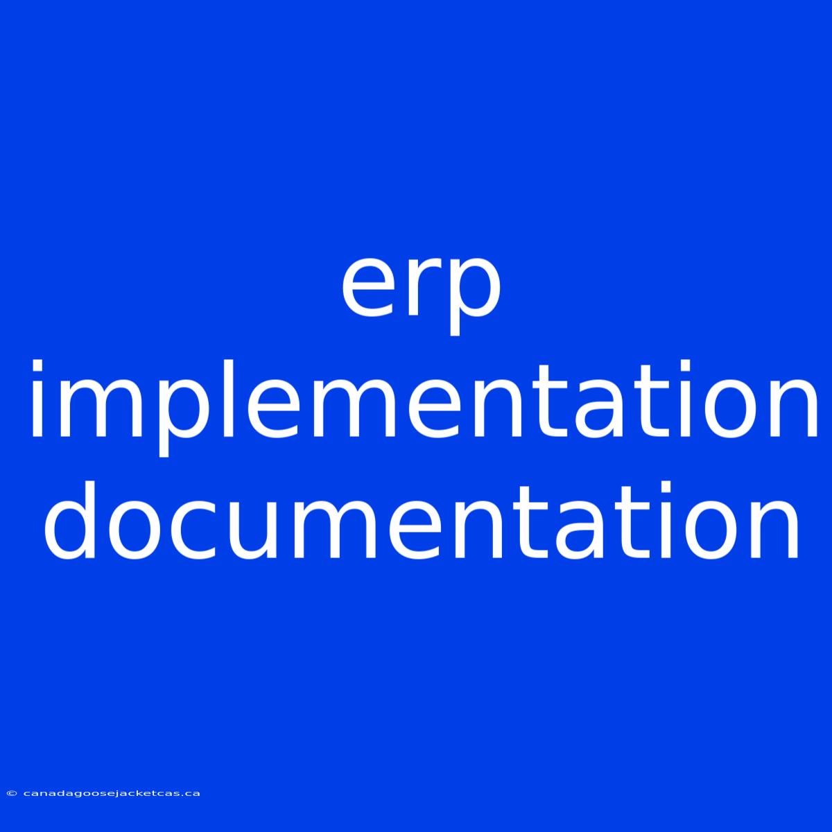 Erp Implementation Documentation