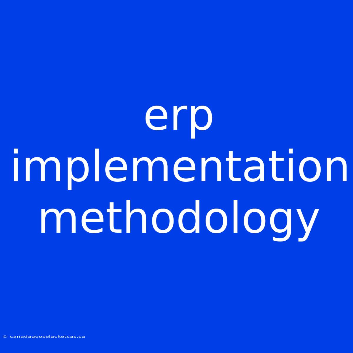 Erp Implementation Methodology