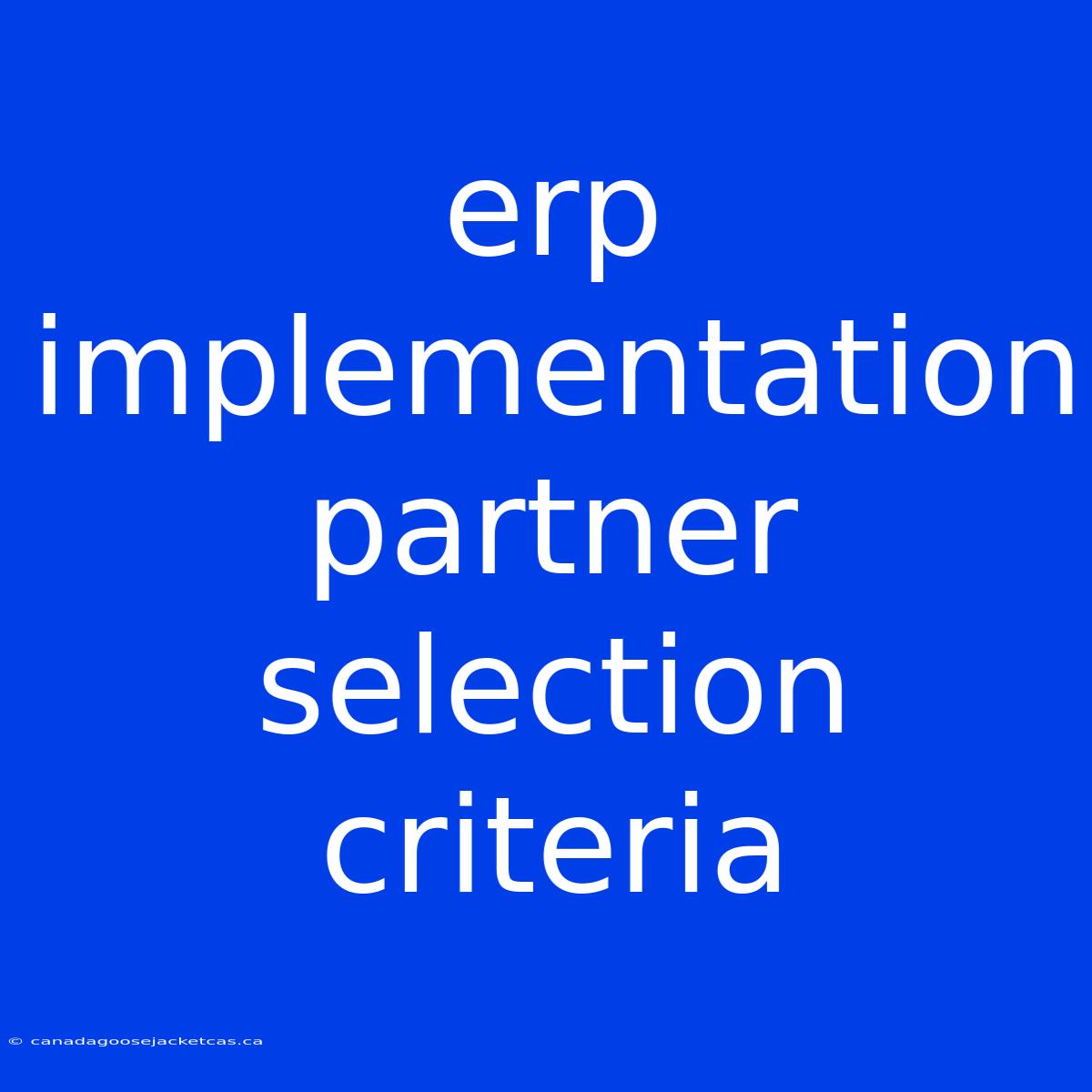 Erp Implementation Partner Selection Criteria