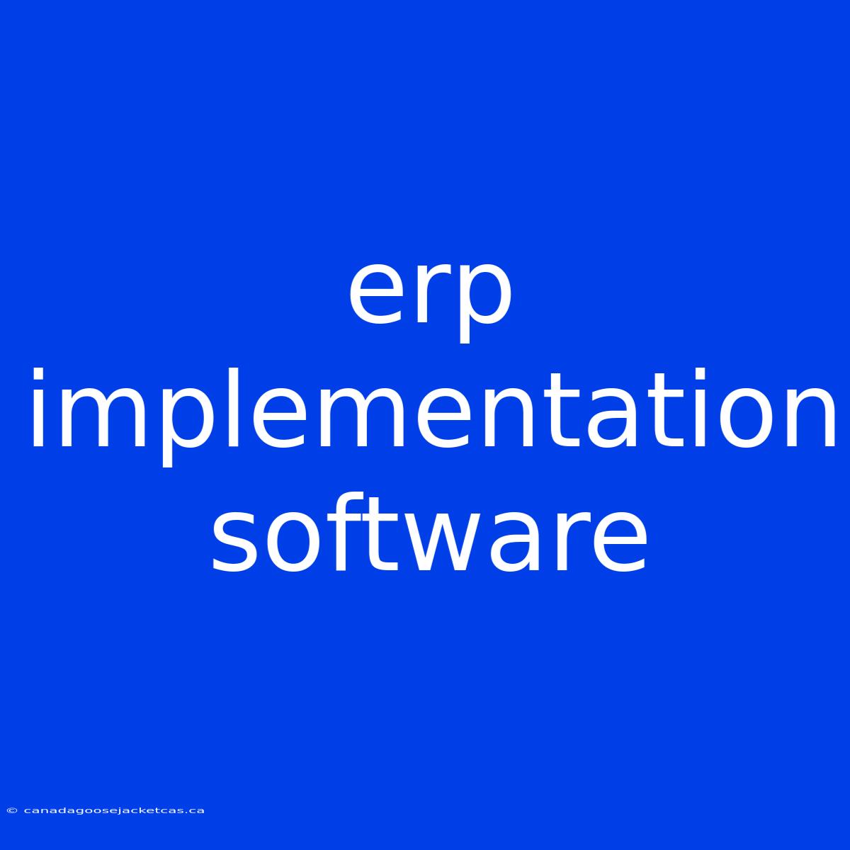 Erp Implementation Software