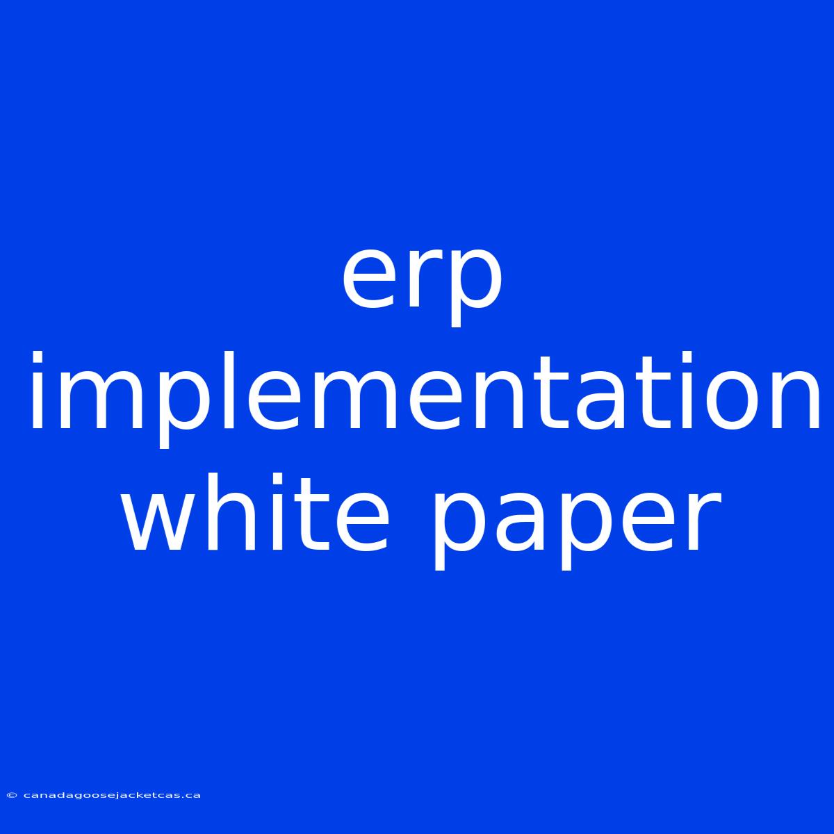 Erp Implementation White Paper