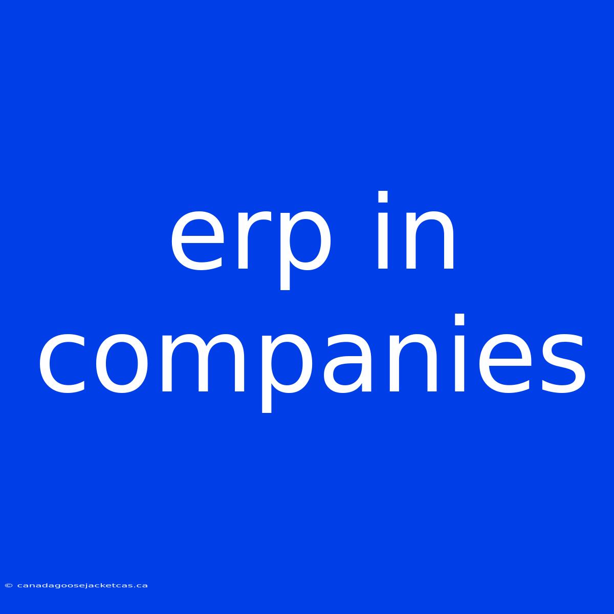 Erp In Companies