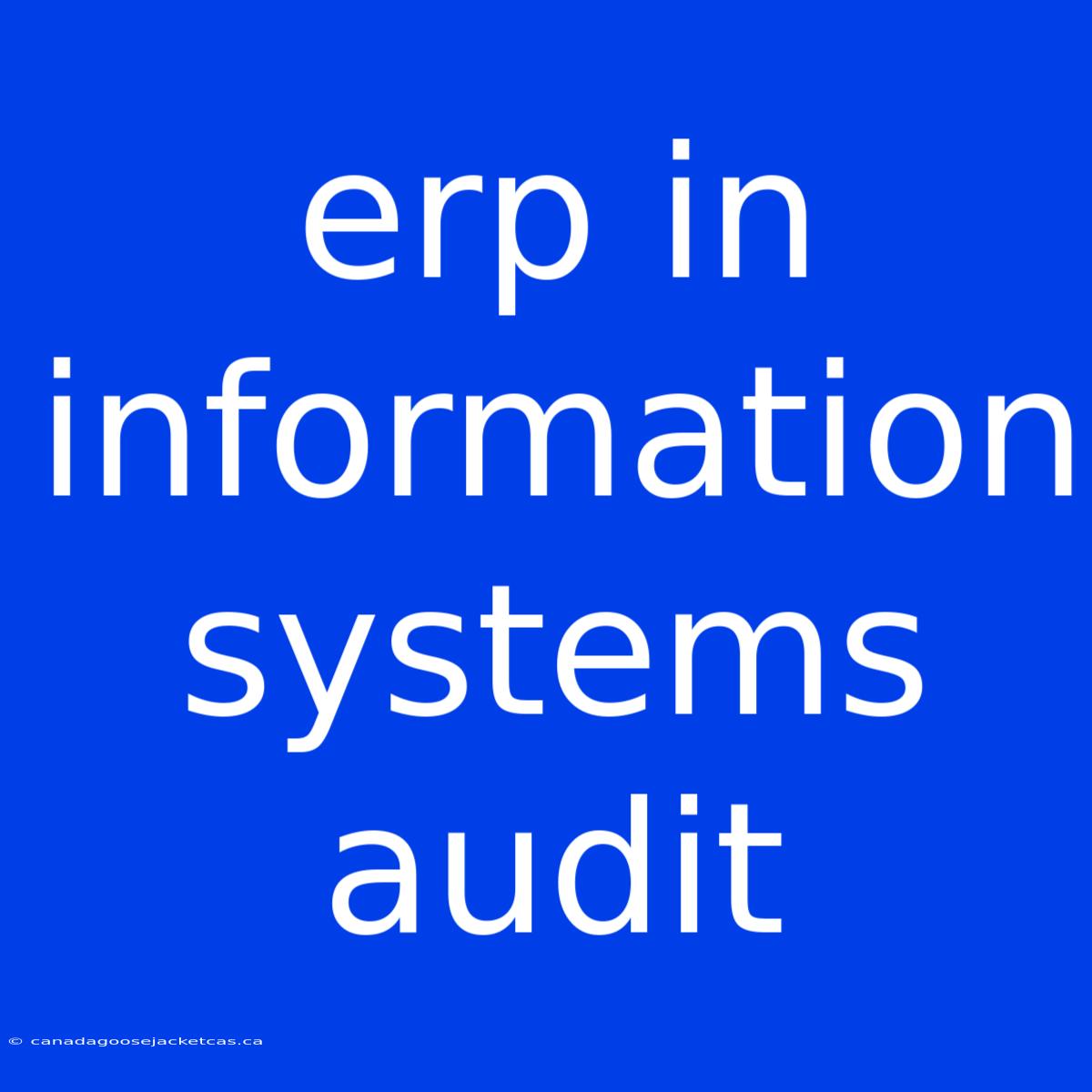 Erp In Information Systems Audit