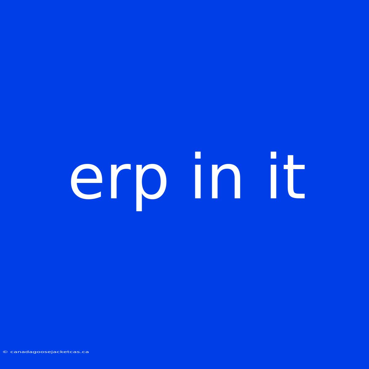 Erp In It