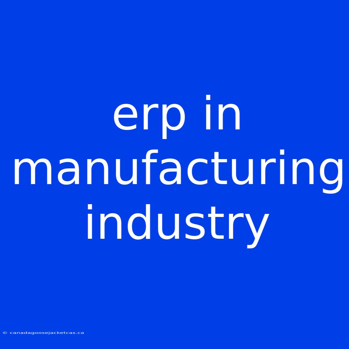 Erp In Manufacturing Industry