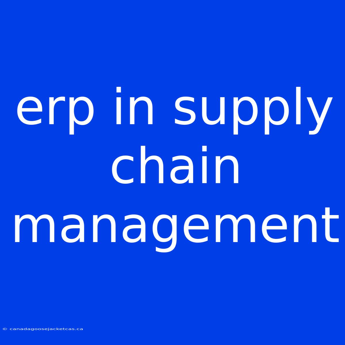 Erp In Supply Chain Management