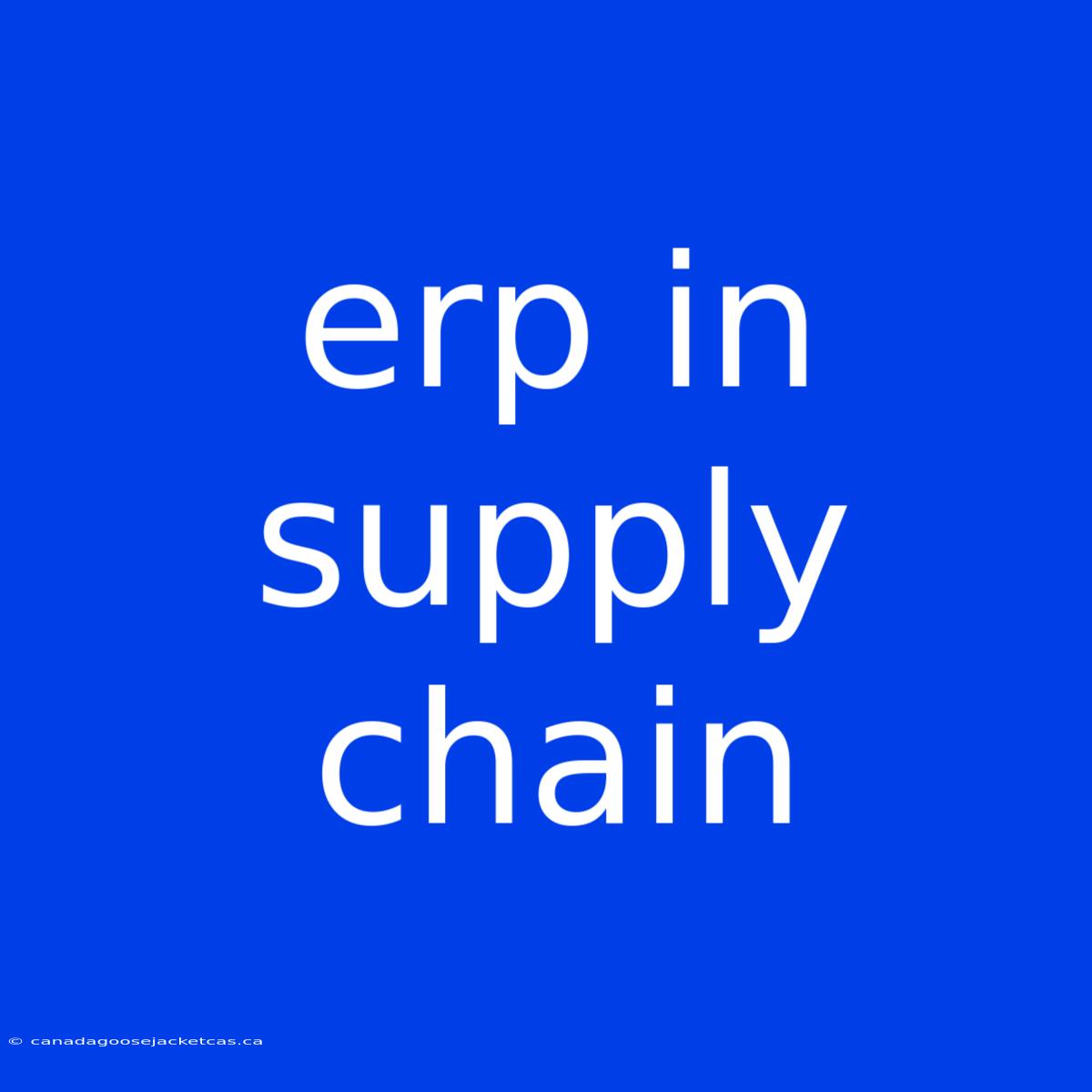 Erp In Supply Chain