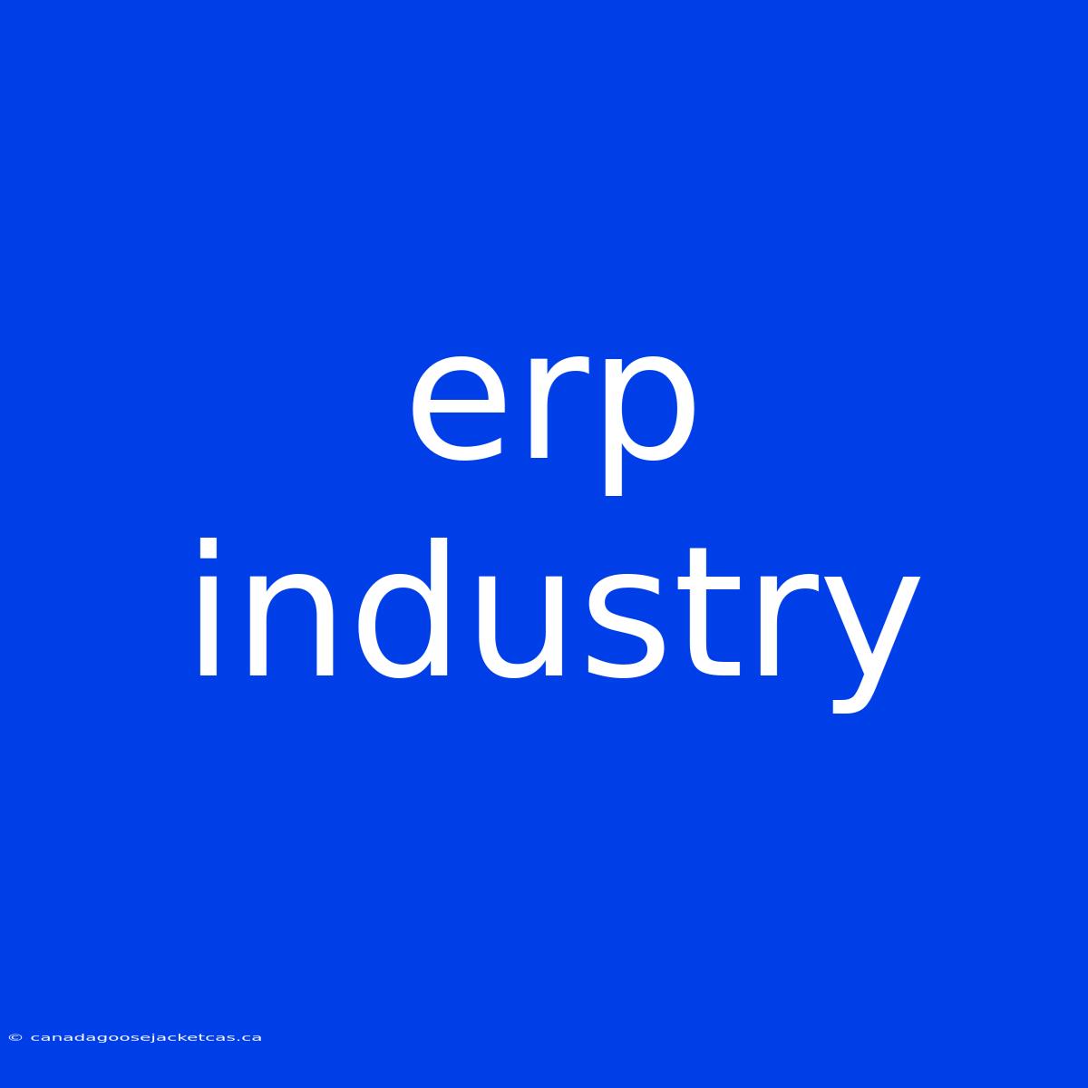 Erp Industry