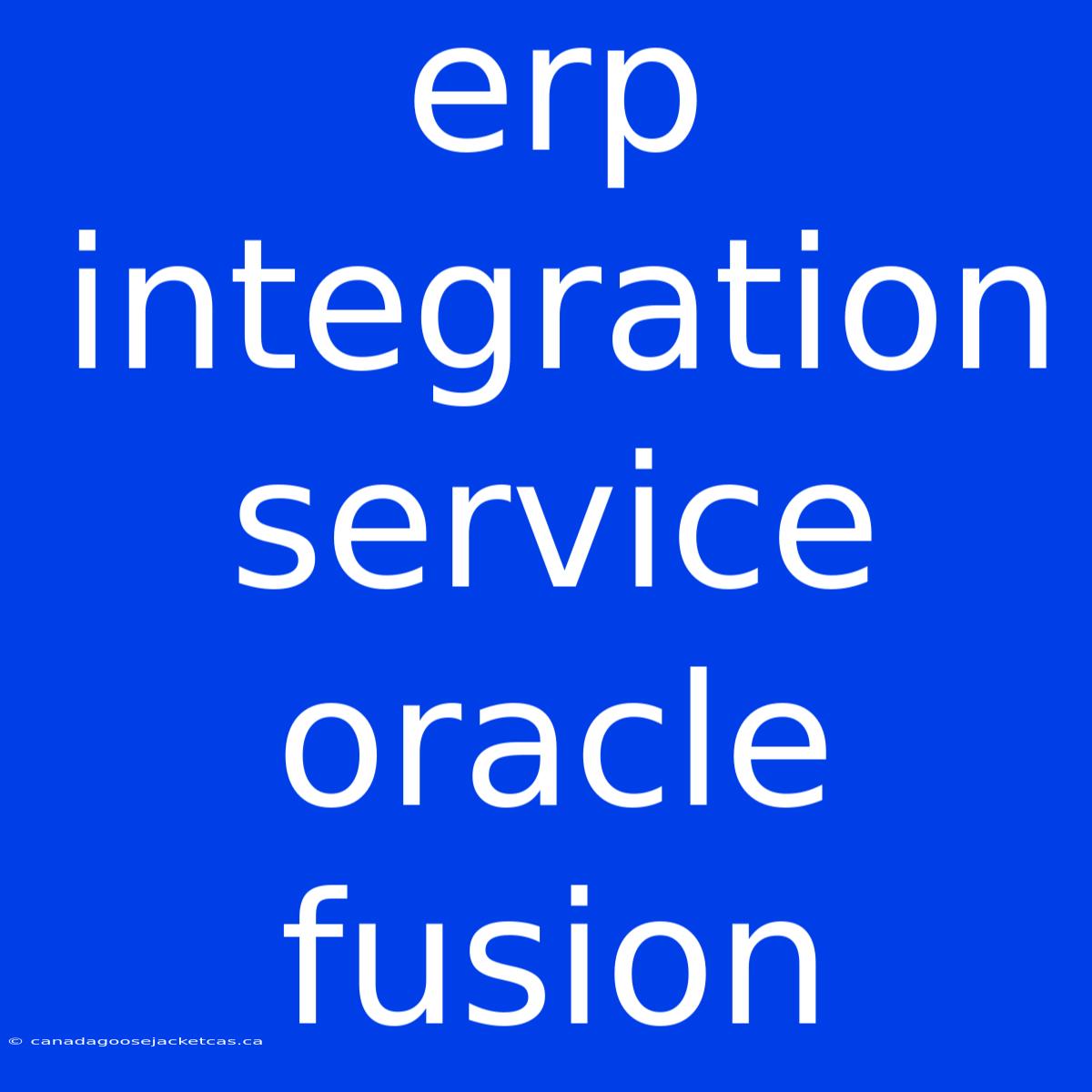 Erp Integration Service Oracle Fusion