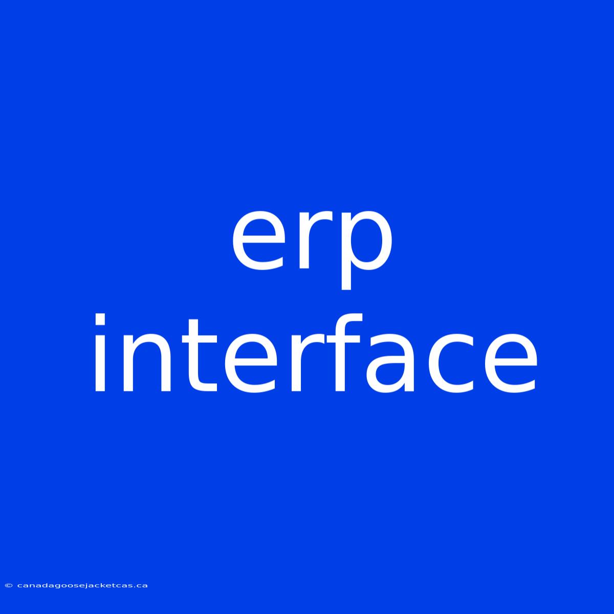 Erp Interface