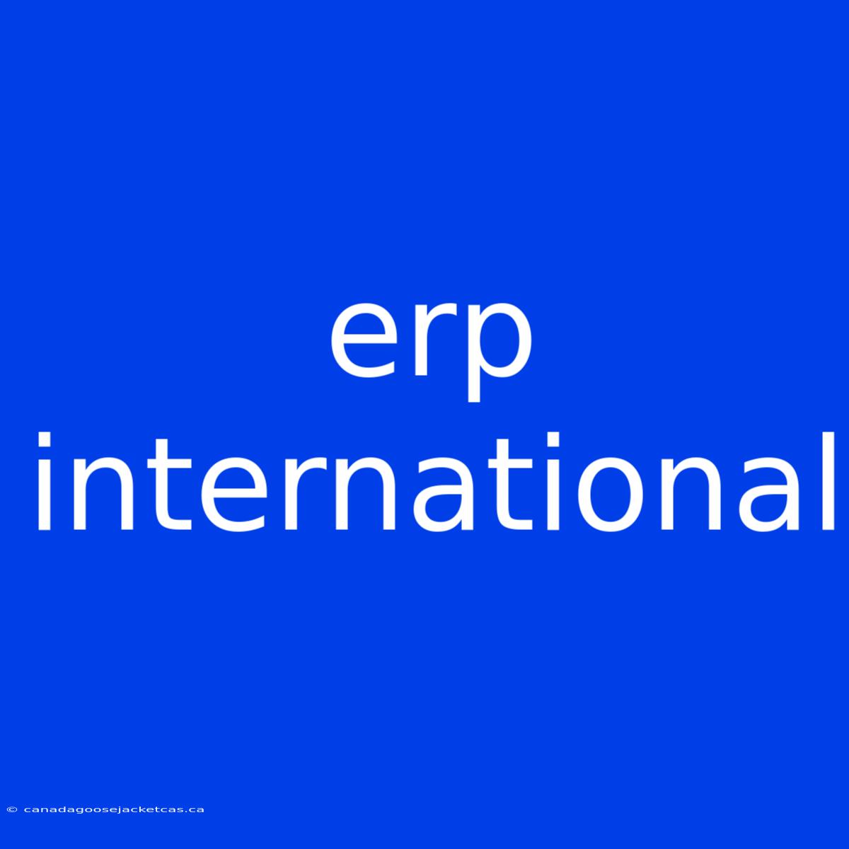 Erp International