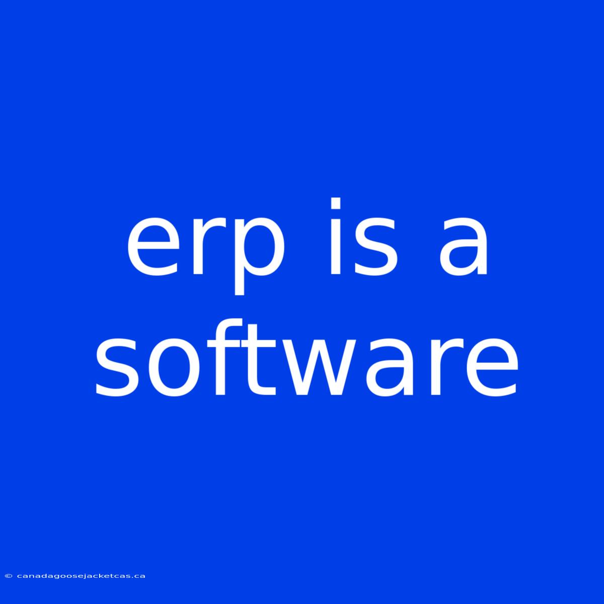 Erp Is A Software