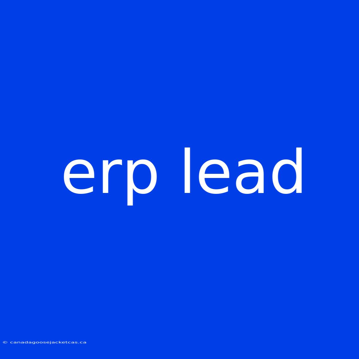 Erp Lead