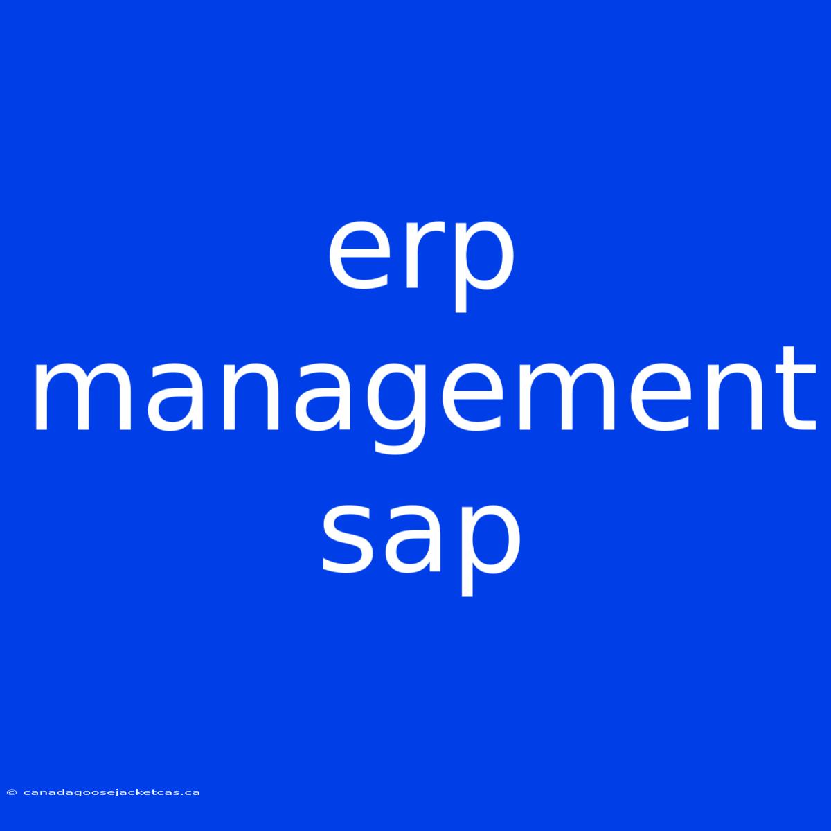 Erp Management Sap