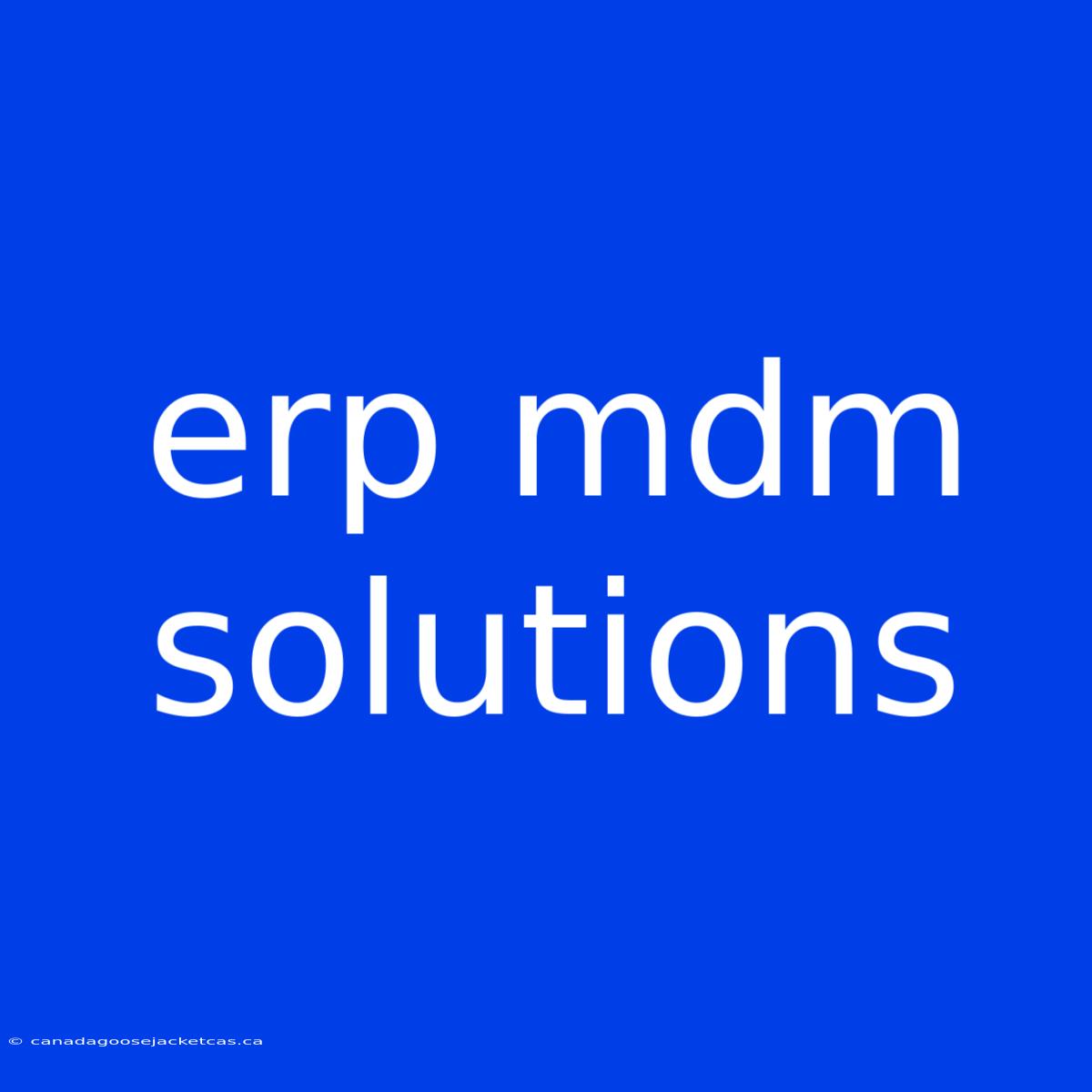 Erp Mdm Solutions