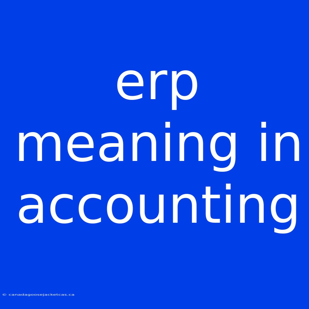 Erp Meaning In Accounting