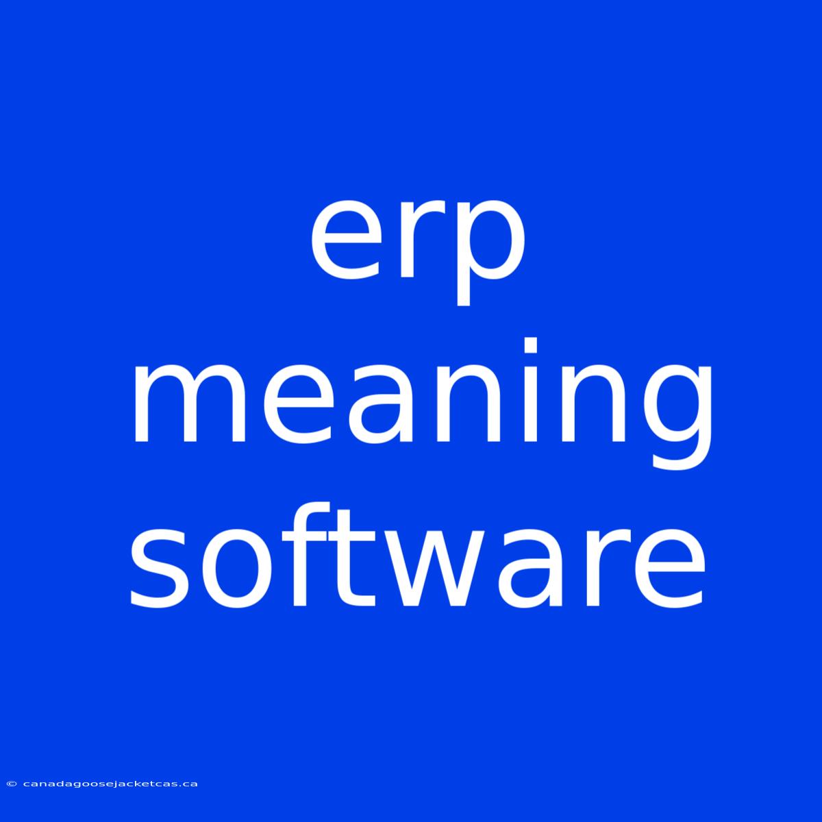 Erp Meaning Software