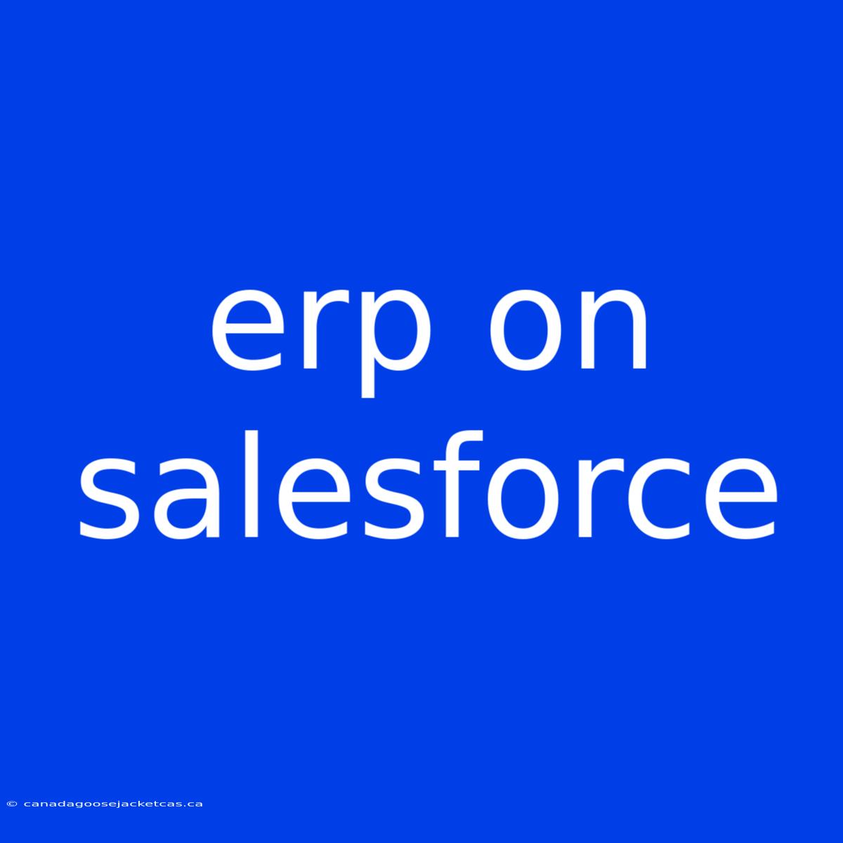 Erp On Salesforce