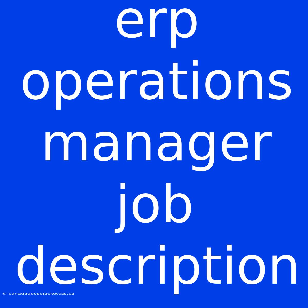 Erp Operations Manager Job Description